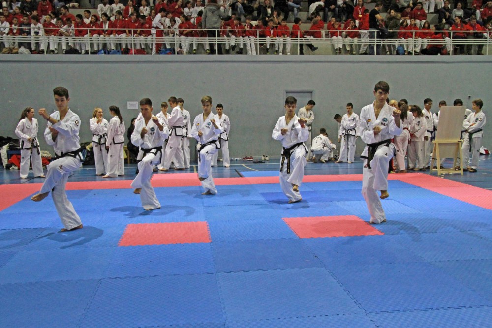 III Copa Seúl (185).jpg